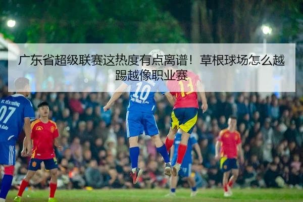广东省超级联赛这热度有点离谱！草根球场怎么越踢越像职业赛 - leyu