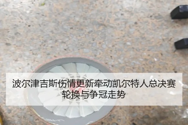 波尔津吉斯伤情更新牵动凯尔特人总决赛轮换与争冠走势 - leyu