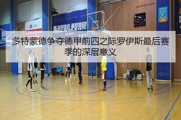 多特蒙德争夺德甲前四之际罗伊斯最后赛季的深层意义 - leyu