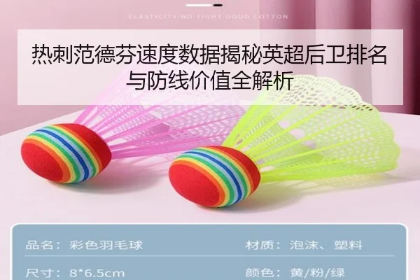 热刺范德芬速度数据揭秘英超后卫排名与防线价值全解析 - leyu