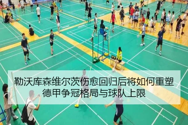 勒沃库森维尔茨伤愈回归后将如何重塑德甲争冠格局与球队上限 - leyu