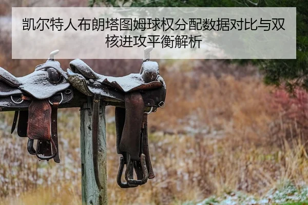 凯尔特人布朗塔图姆球权分配数据对比与双核进攻平衡解析 - leyu
