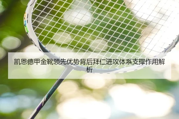 凯恩德甲金靴领先优势背后拜仁进攻体系支撑作用解析 - leyu