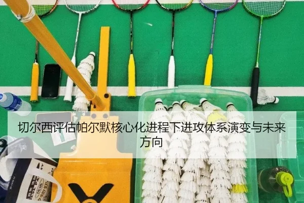 切尔西评估帕尔默核心化进程下进攻体系演变与未来方向
